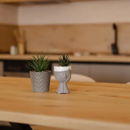 Scutari Horizon * Shkodër