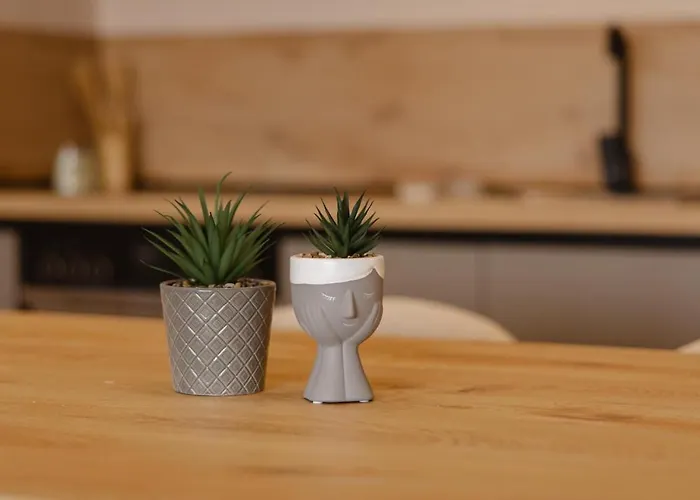 Scutari Horizon * Shkodër